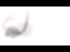 Малошумный высокий участок Stepper мотора SM35-048L 35mm 12v 2 вращающего момента